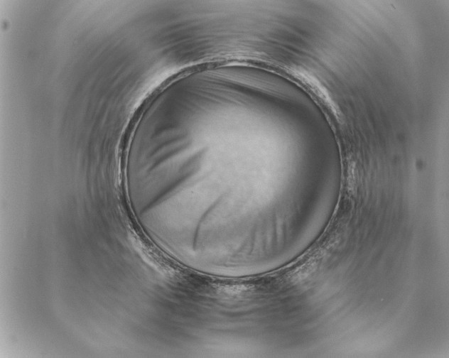 X0000088601031200706151756