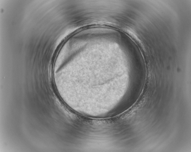 X0000088601032200706151756