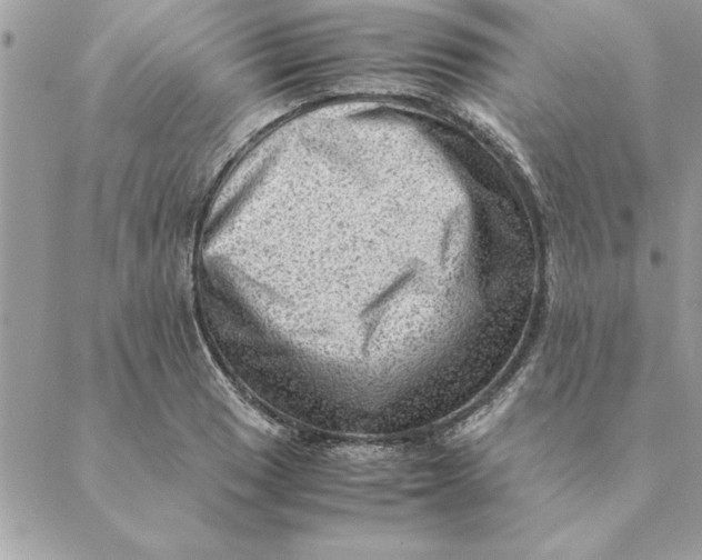 X0000088601033200706151756