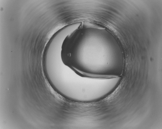 X0000088601034200706151756