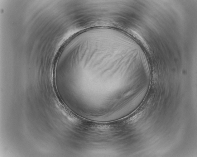 X0000088601035200706151756