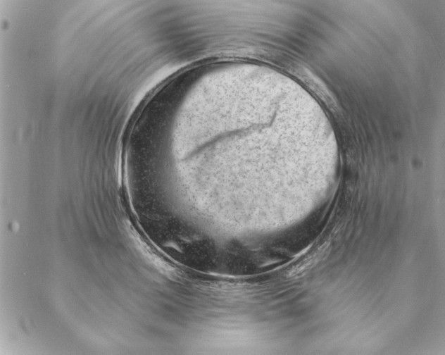 X0000088601036200706151756