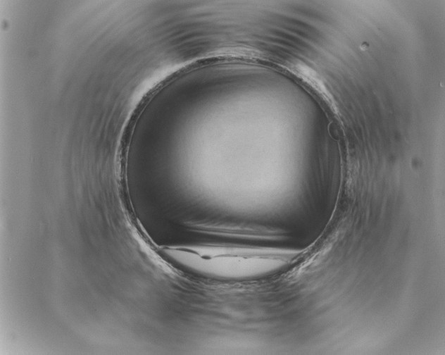 X0000088601037200706151756