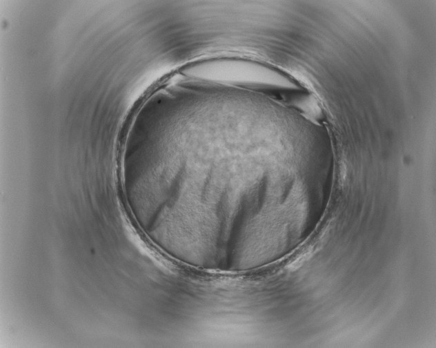 X0000088601038200706151756