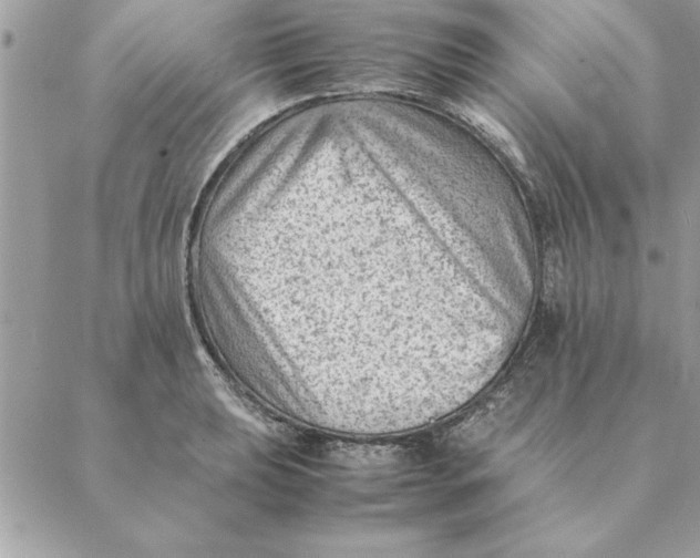 X0000088601039200706151756