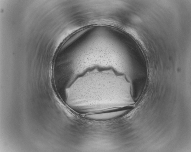 X0000088601040200706151756