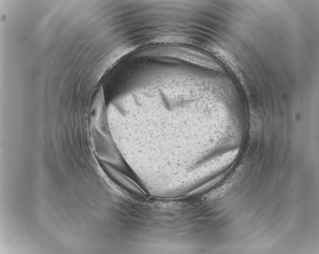 X0000088601041200706151756