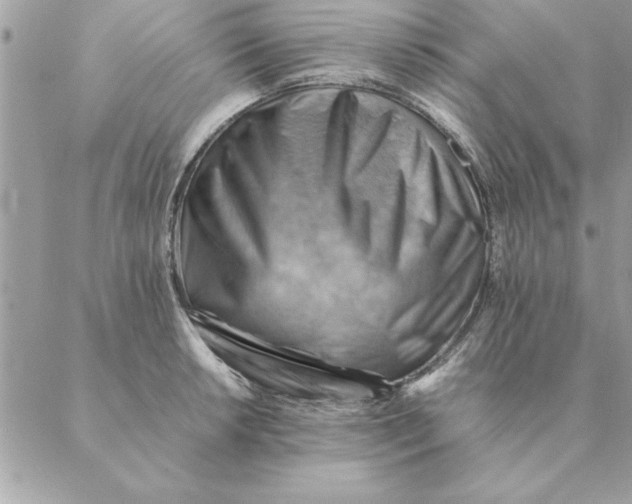 X0000088601042200706151756