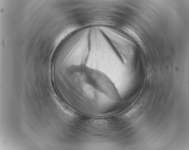 X0000088601043200706151756