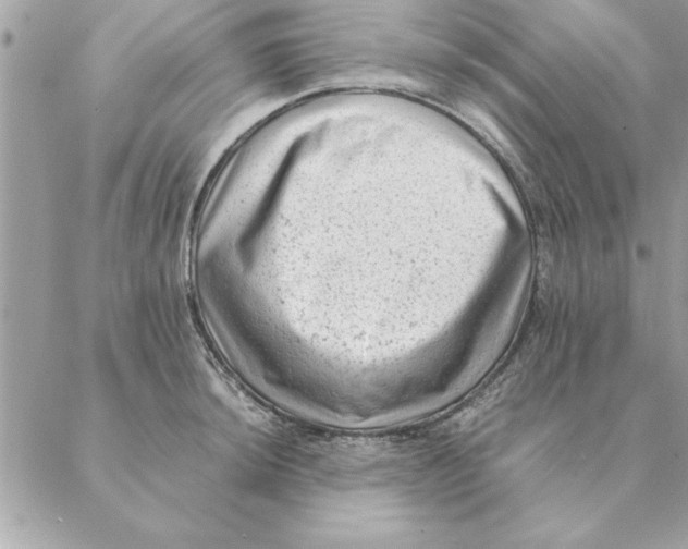 X0000088601044200706151756