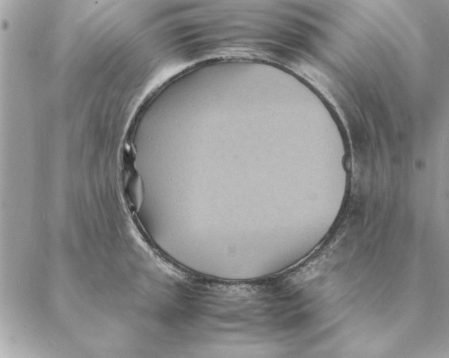 X0000088601045200706151756