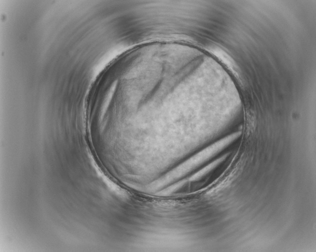 X0000088601046200706151756