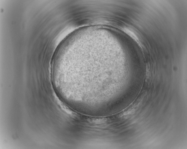 X0000088601047200706151756