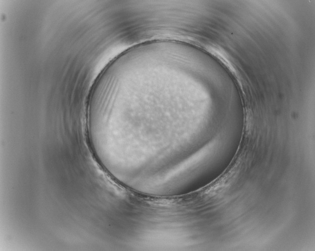 X0000088601048200706151756