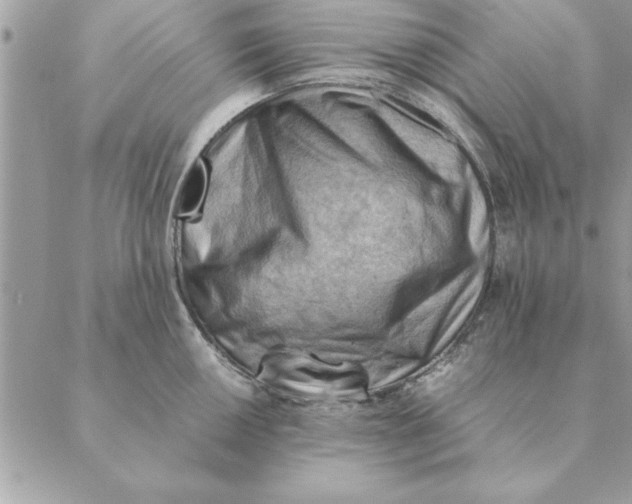 X0000088601050200706151756