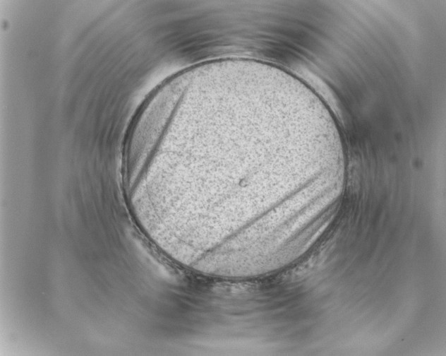 X0000088601051200706151756