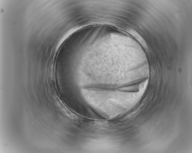 X0000088601052200706151756