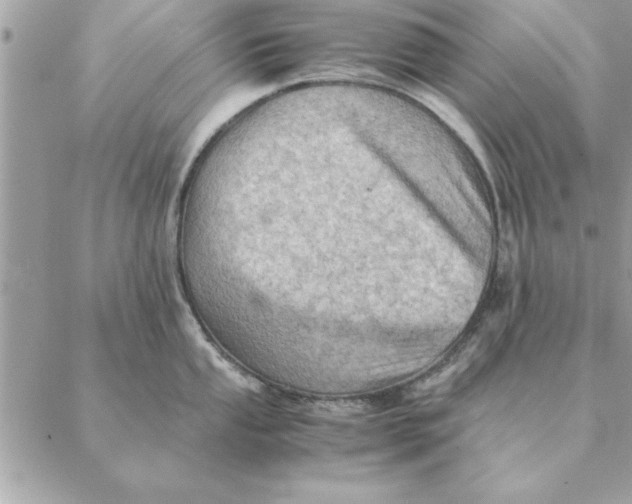 X0000088601053200706151756