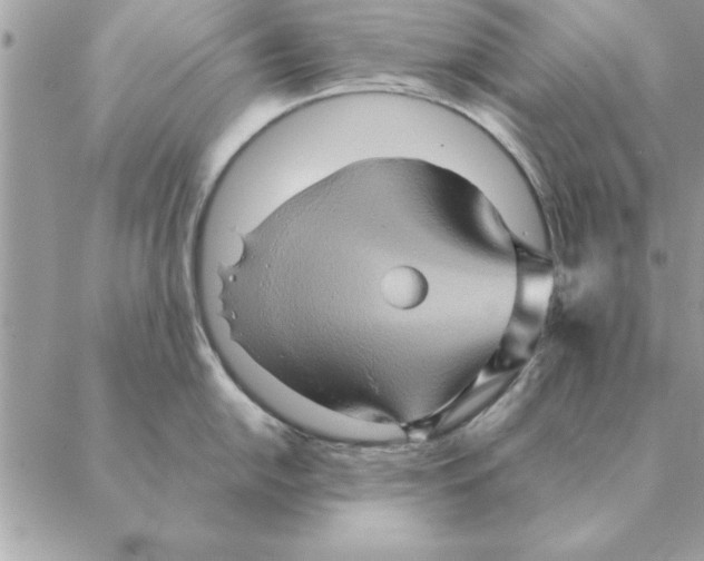 X0000088601054200706151756