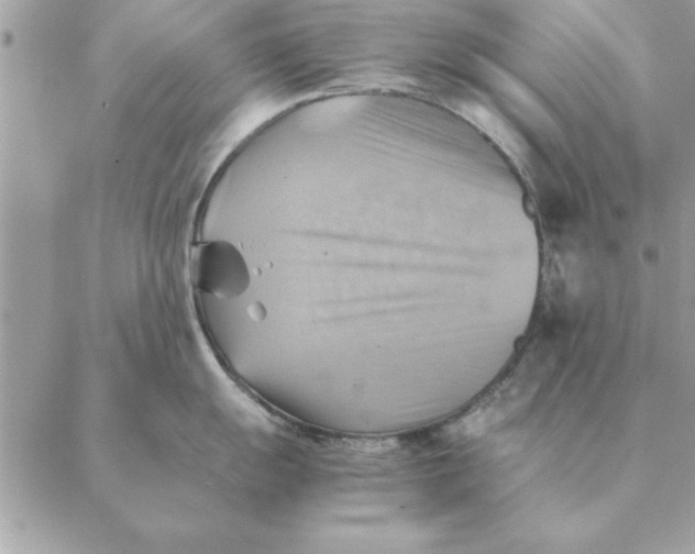 X0000088601055200706151756