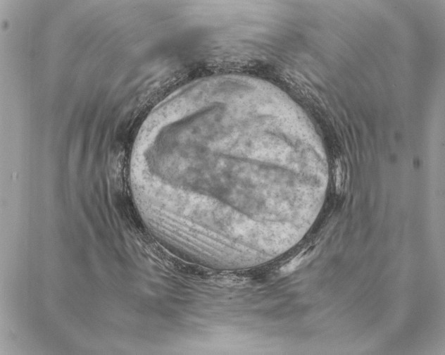 X0000088601059200706151756