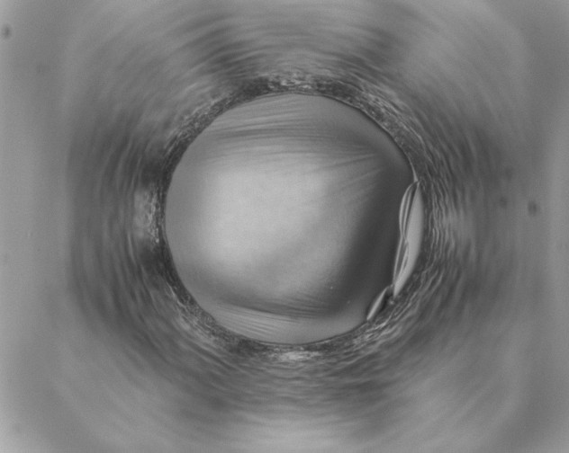 X0000088601060200706151756