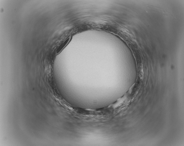 X0000088601061200706151756