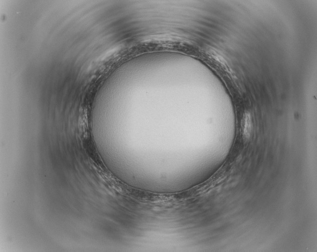 X0000088601062200706151756