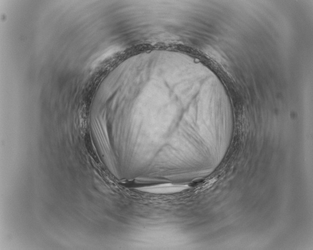 X0000088601063200706151756