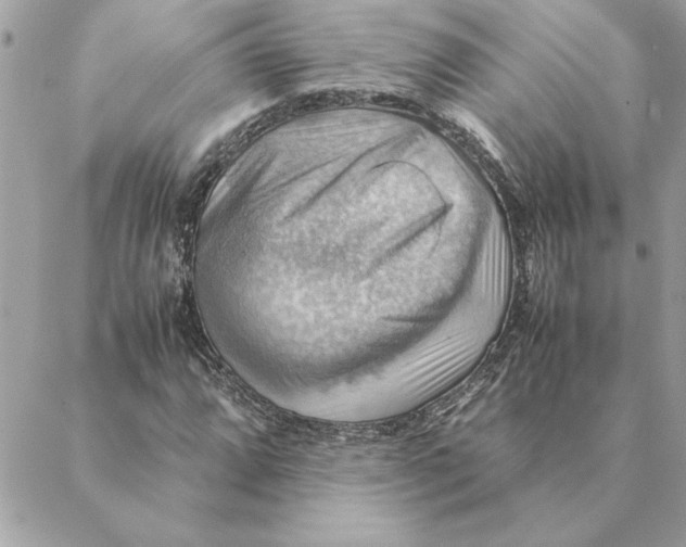 X0000088601064200706151756