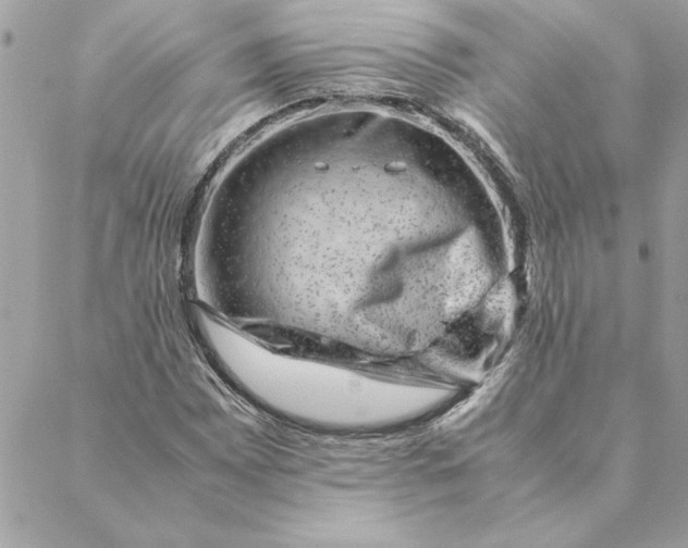 X0000088601065200706151756