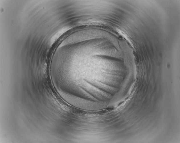 X0000088601066200706151756