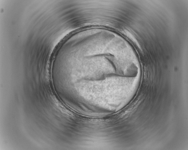 X0000088601068200706151755