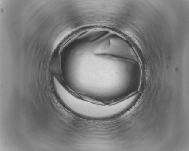 X0000088601069200706151755