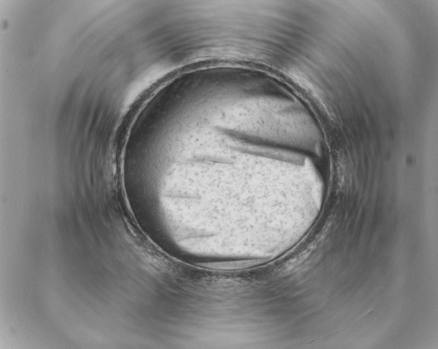 X0000088601070200706151755