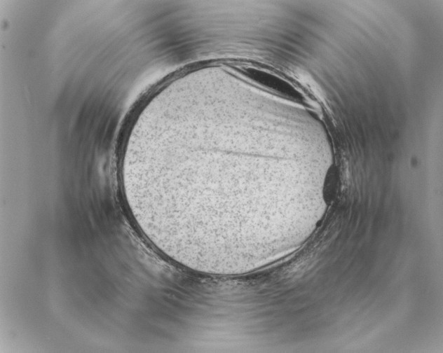 X0000088601072200706151755