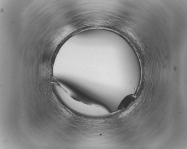 X0000088601073200706151755