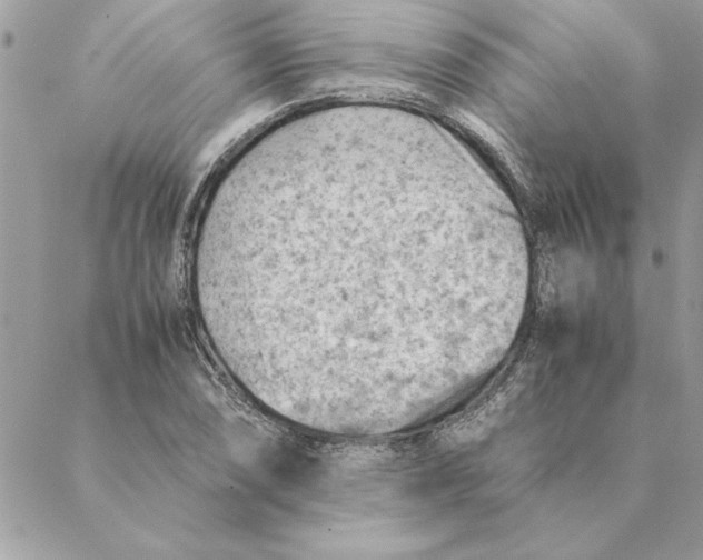 X0000088601074200706151755