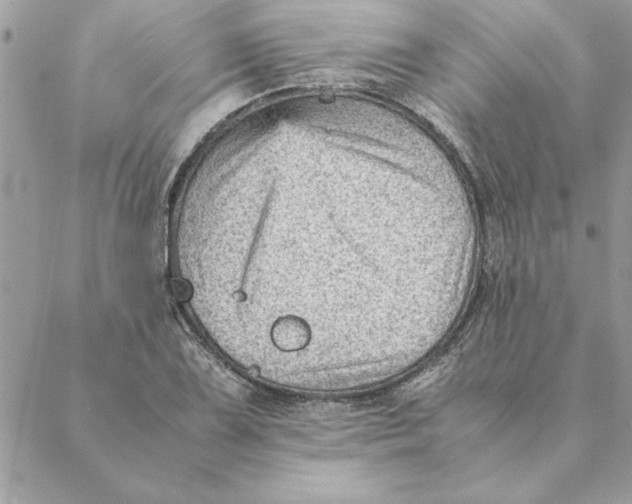 X0000088601075200706151755