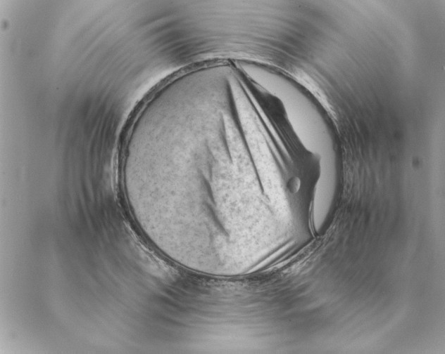 X0000088601076200706151755