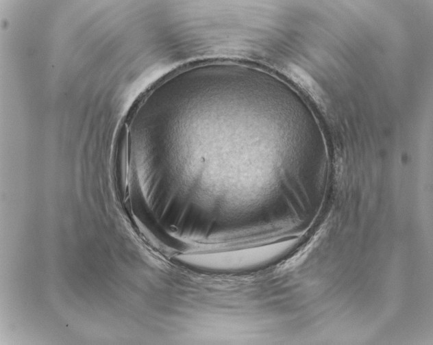 X0000088601077200706151755