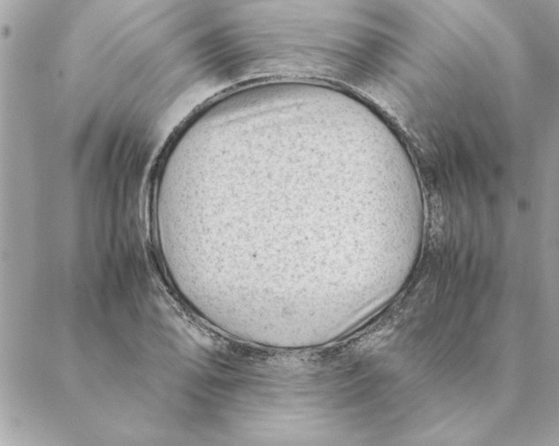 X0000088601078200706151755