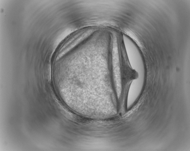 X0000088601079200706151755