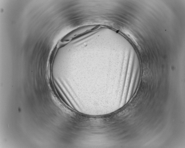 X0000088601080200706151755