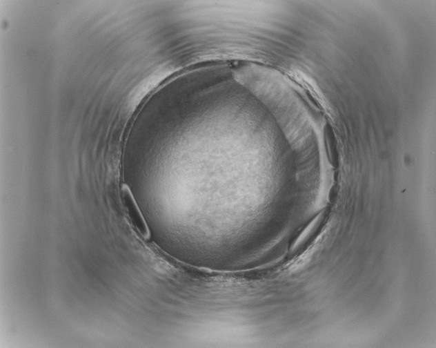 X0000088601081200706151755