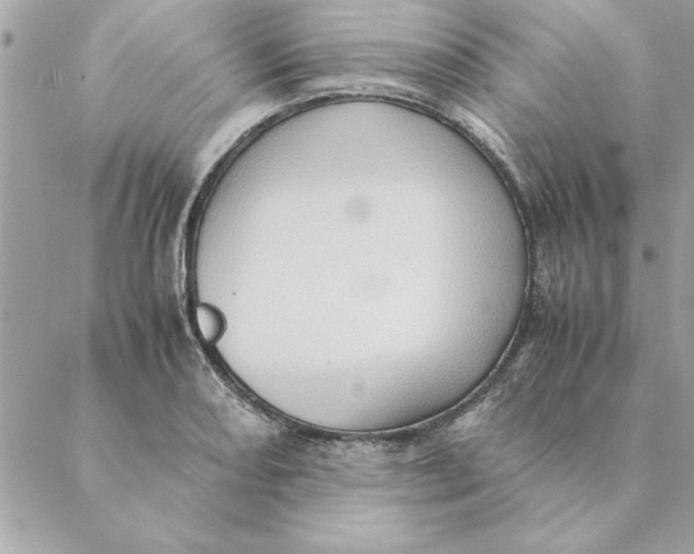 X0000088601082200706151755