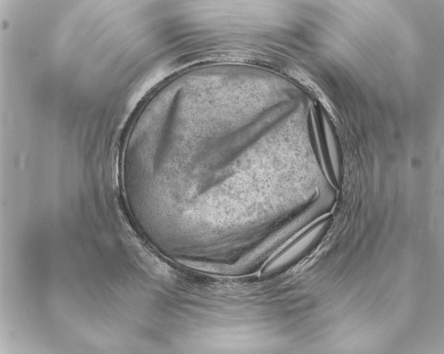 X0000088601083200706151755