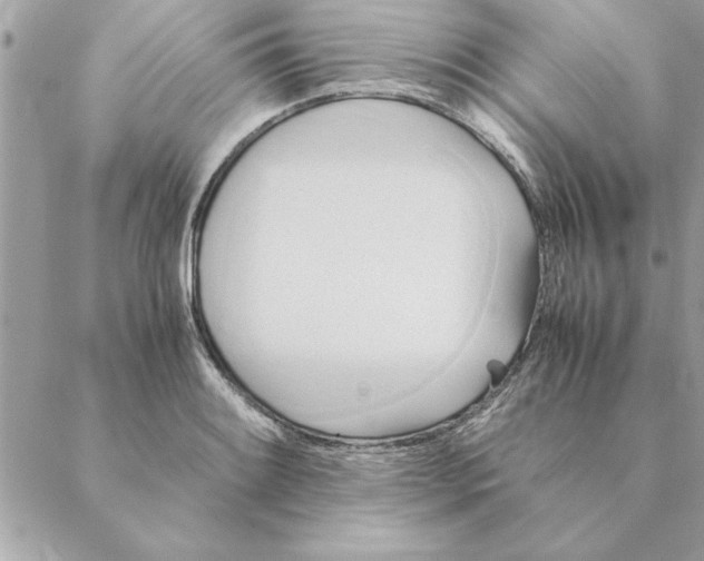 X0000088601084200706151755