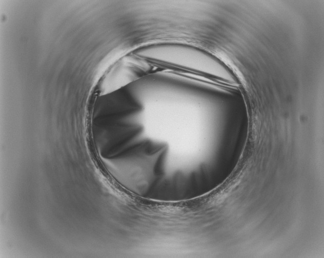 X0000088601085200706151755