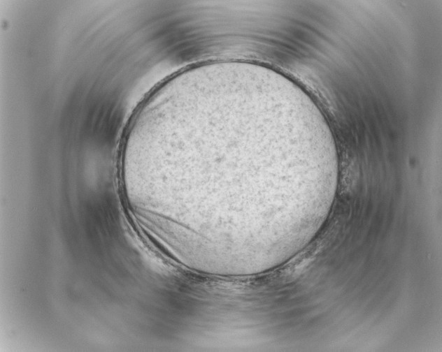 X0000088601086200706151755